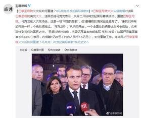 法国爆料最新消息今天,今日热点事件深度解析